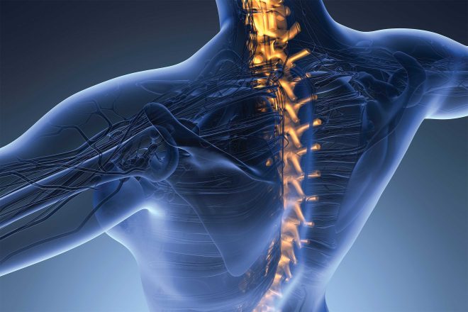 2025 Top Chiropractors