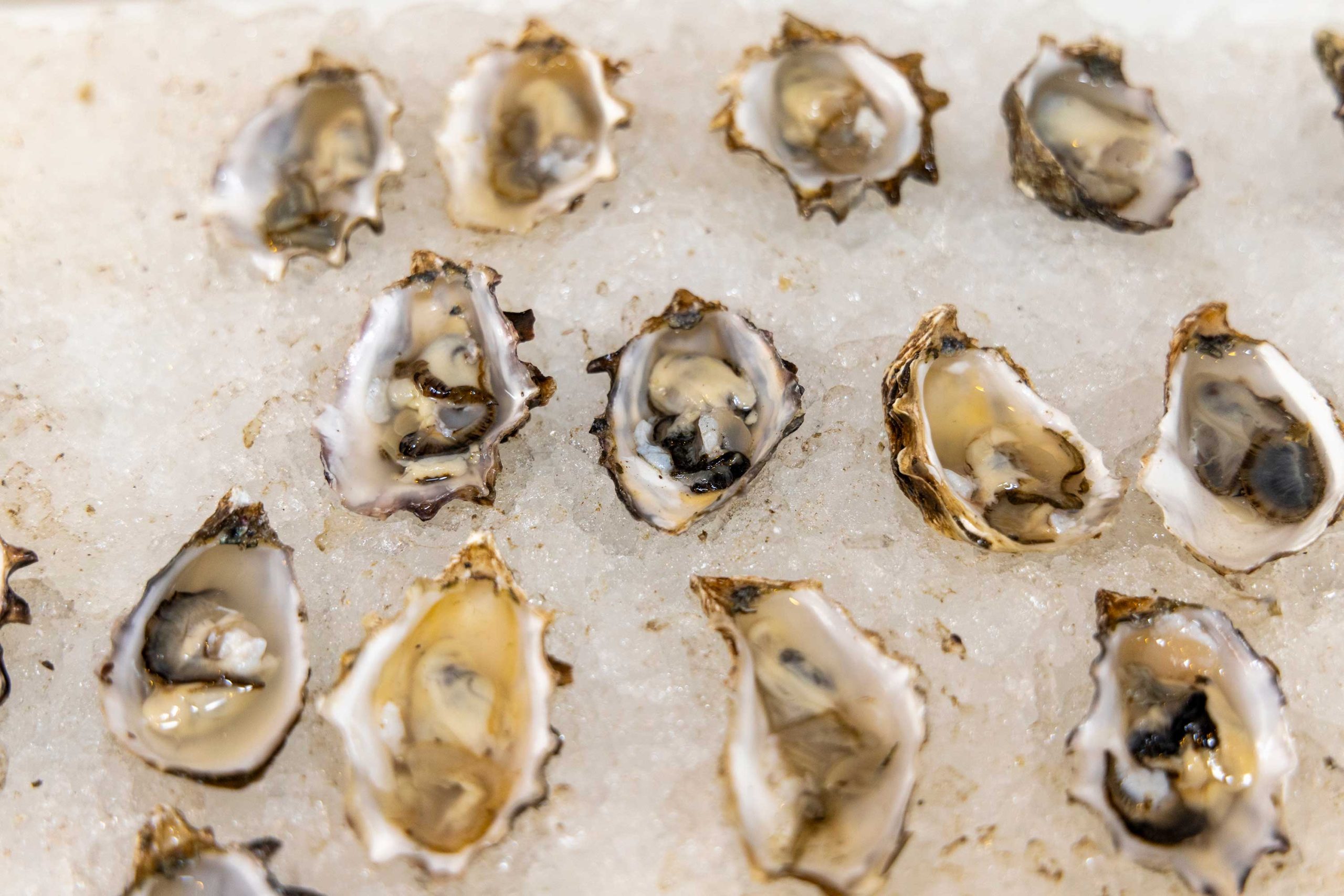 buck-and-rider-oysters