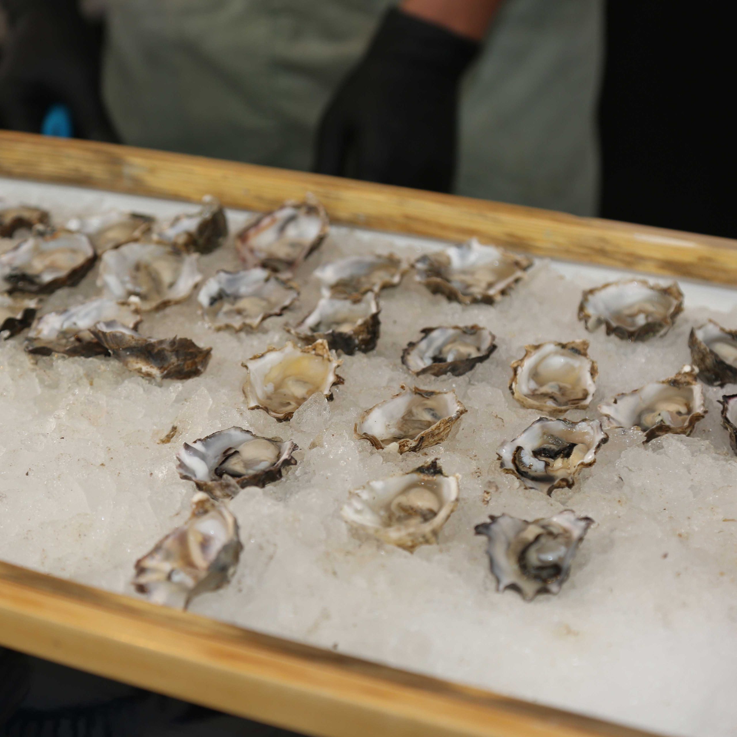 buck-rider-oysters