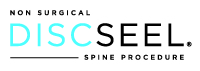 discseel-logo-full-color-rgb-200px@72ppi https://www.phoenixmag.com/wp-content/uploads/2025/03/discseel-logo-full-color-rgb-200px@72ppi.jpg