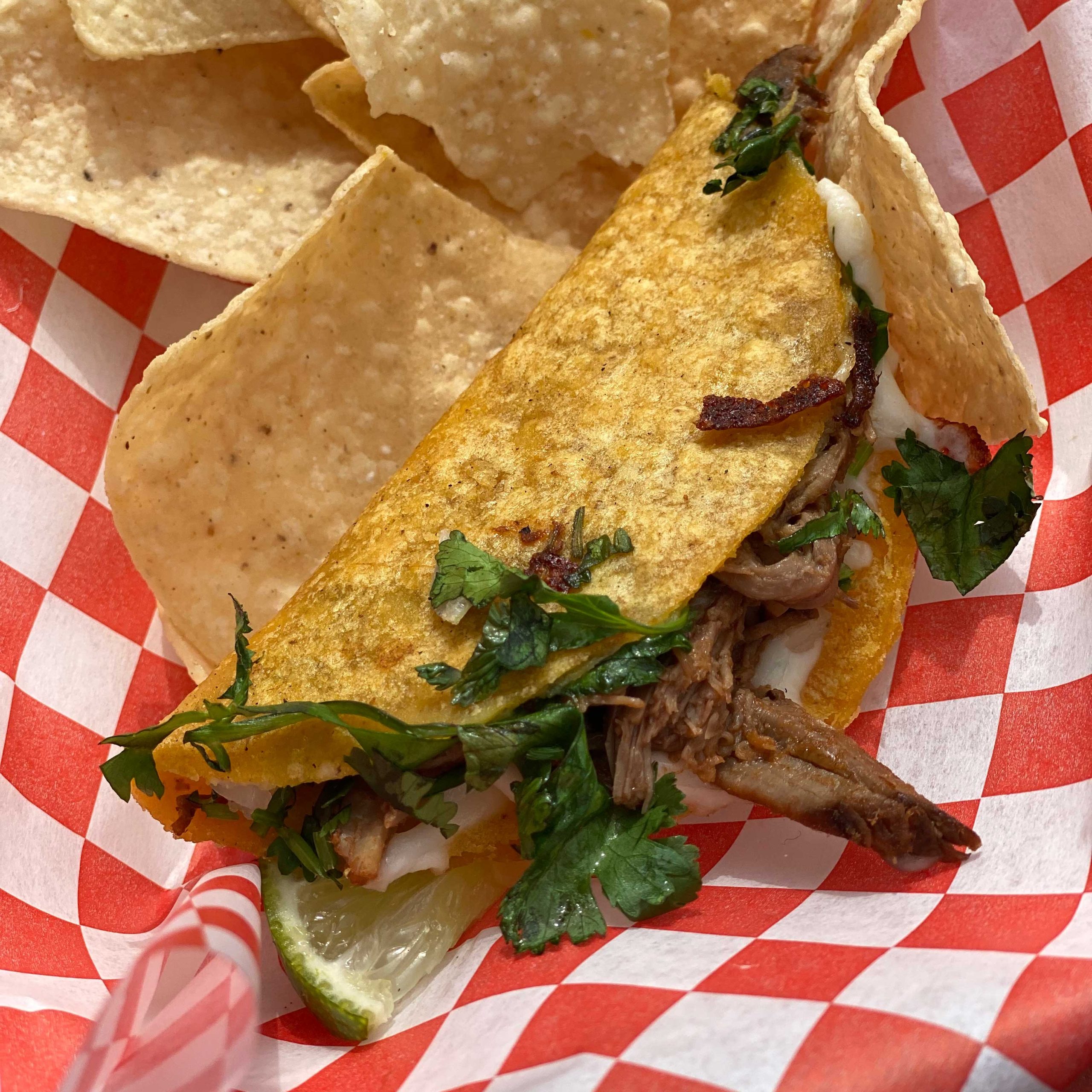 Barbacoa taco from Salsa Bites food truck at Dish Fest in 2023 Barbacoa taco from Salsa Bites food truck at Dish Fest in 2023