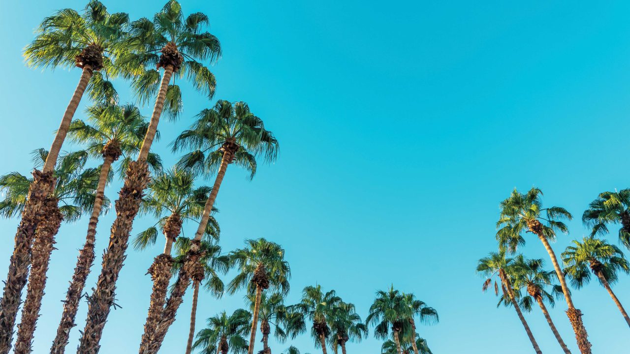 https://www.phoenixmag.com/wp-content/uploads/2025/05/AdobeStock_640247904-1280x720.jpg