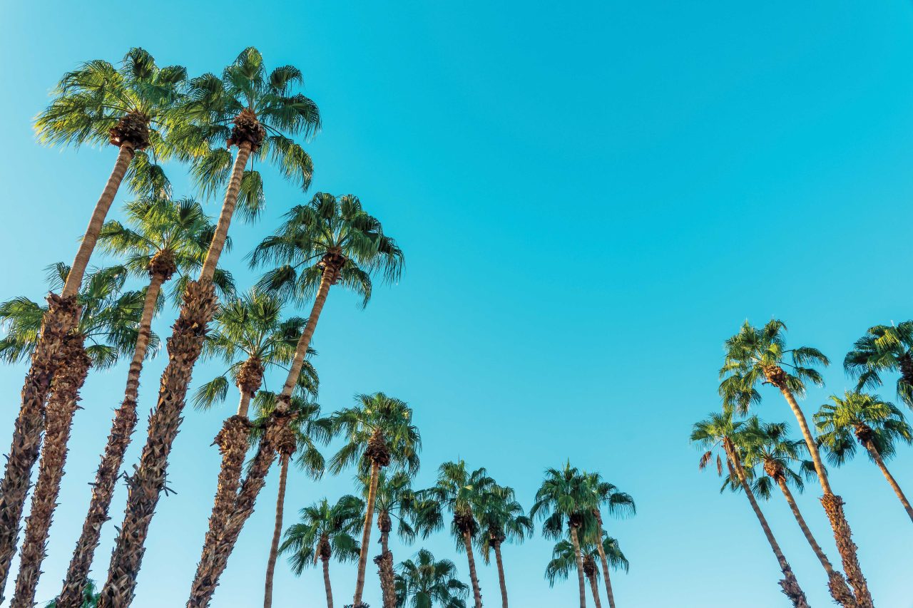 https://www.phoenixmag.com/wp-content/uploads/2025/05/AdobeStock_640247904-1280x853.jpg