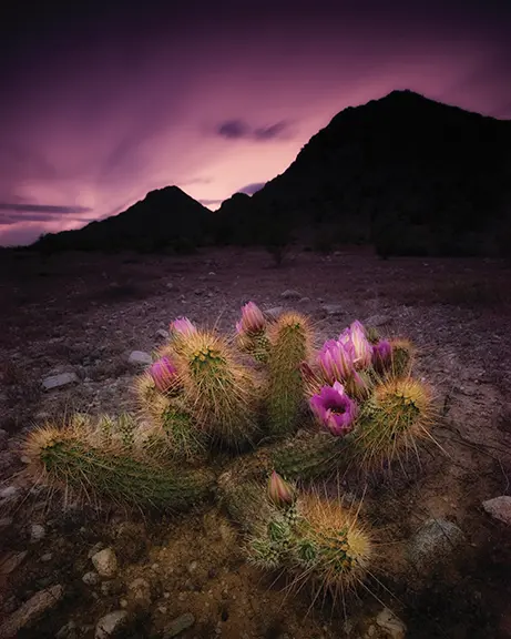 PHM0825CU30 https://www.phoenixmag.com/wp-content/uploads/2025/06/PHM0825CU30.webp