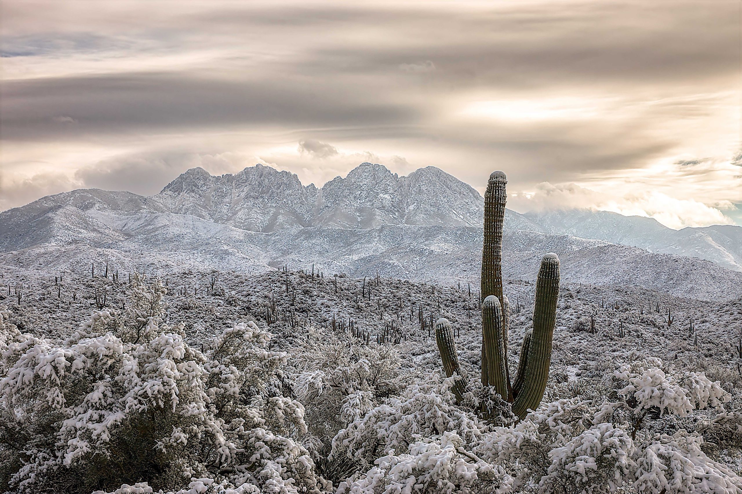 AOTucker150101008-Edit-Edit-EditWhite-Four-Peaks-3 https://www.phoenixmag.com/wp-content/uploads/2025/08/AOTucker150101008-Edit-Edit-EditWhite-Four-Peaks-3-scaled.jpg