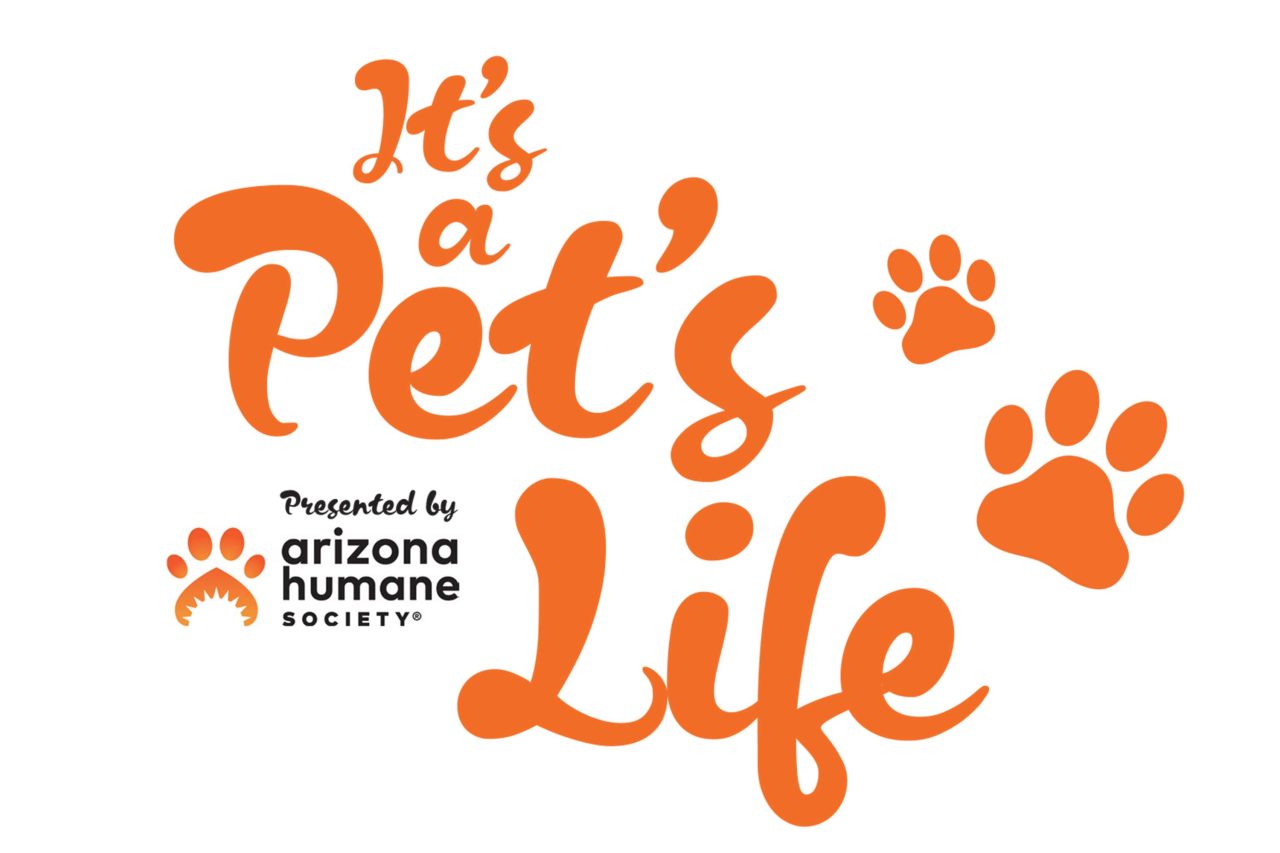 https://www.phoenixmag.com/wp-content/uploads/2025/09/featPHM1025_Pets_Life_SAS-1-1280x853.jpg