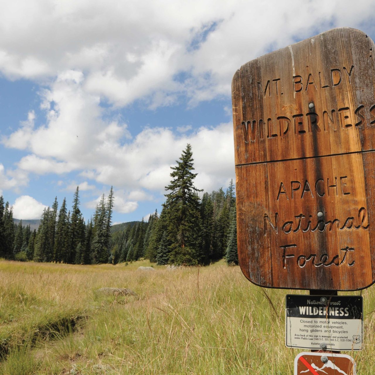 3 Fall Foliage-Filled Hikes
