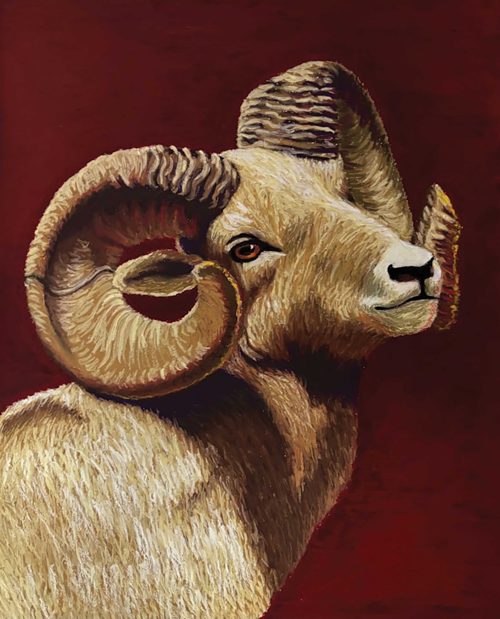"Steed" by Alexandra Yirak "Steed" by Alexandra Yirak