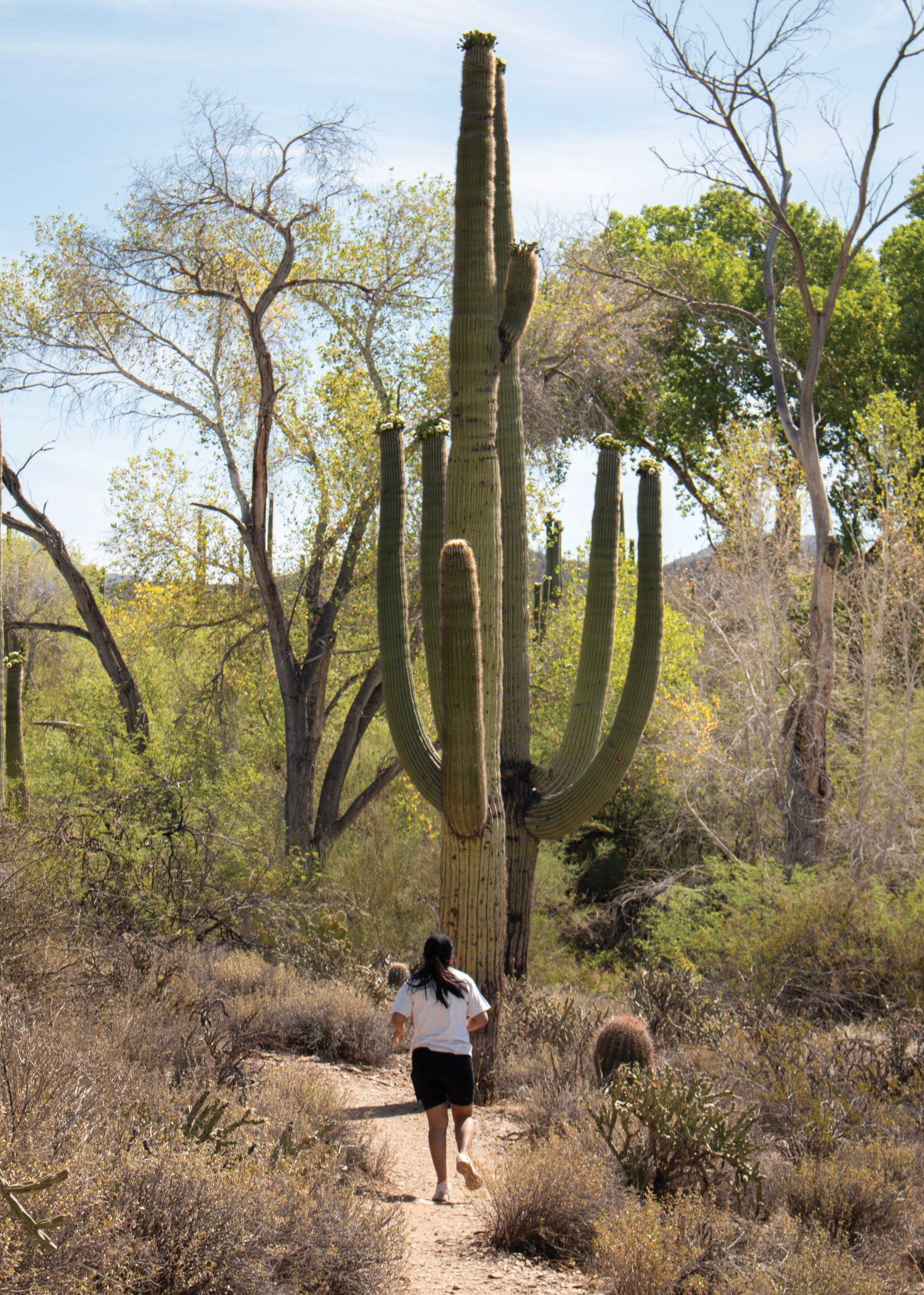 Photos by Mileidi Perez