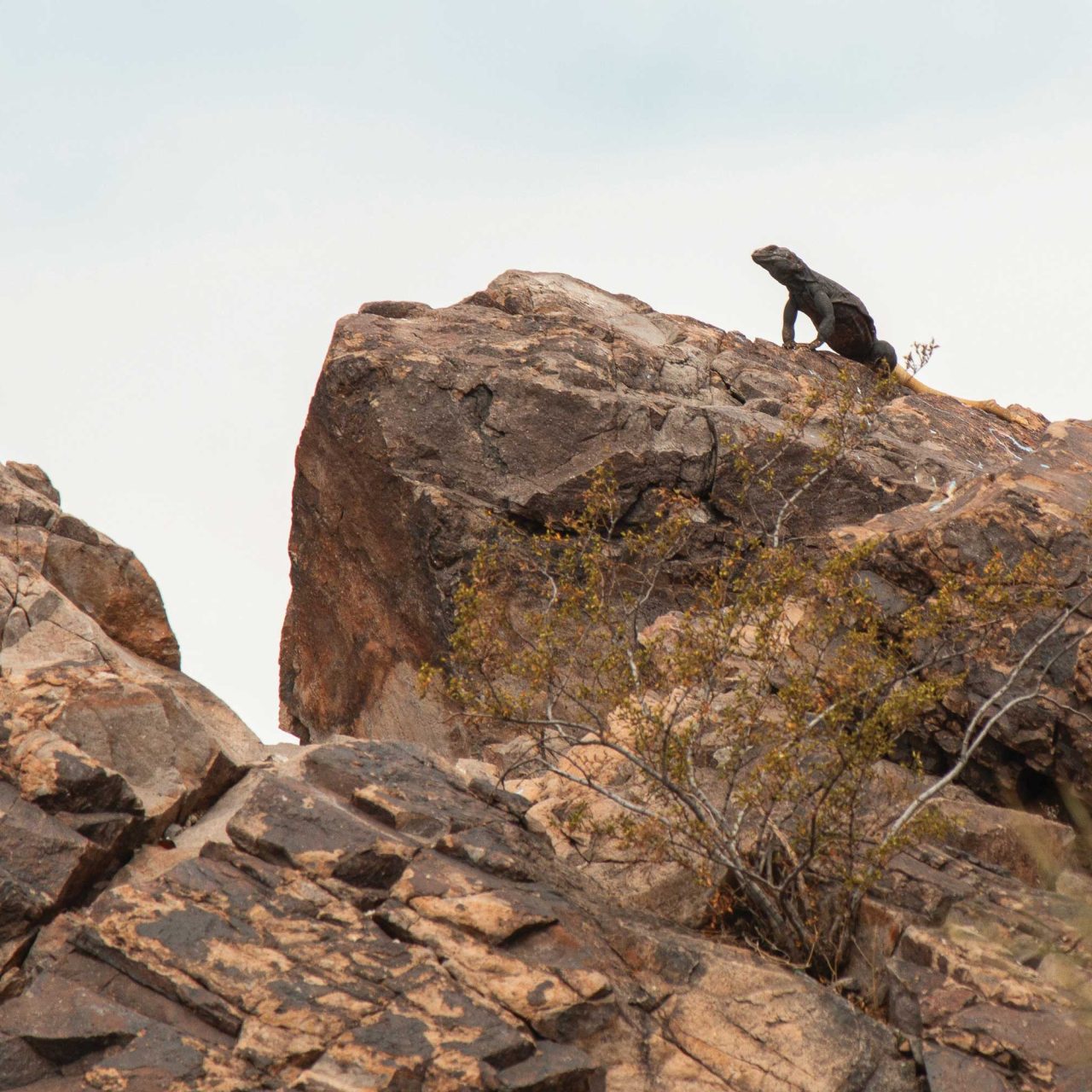 Best City Nature Escapes