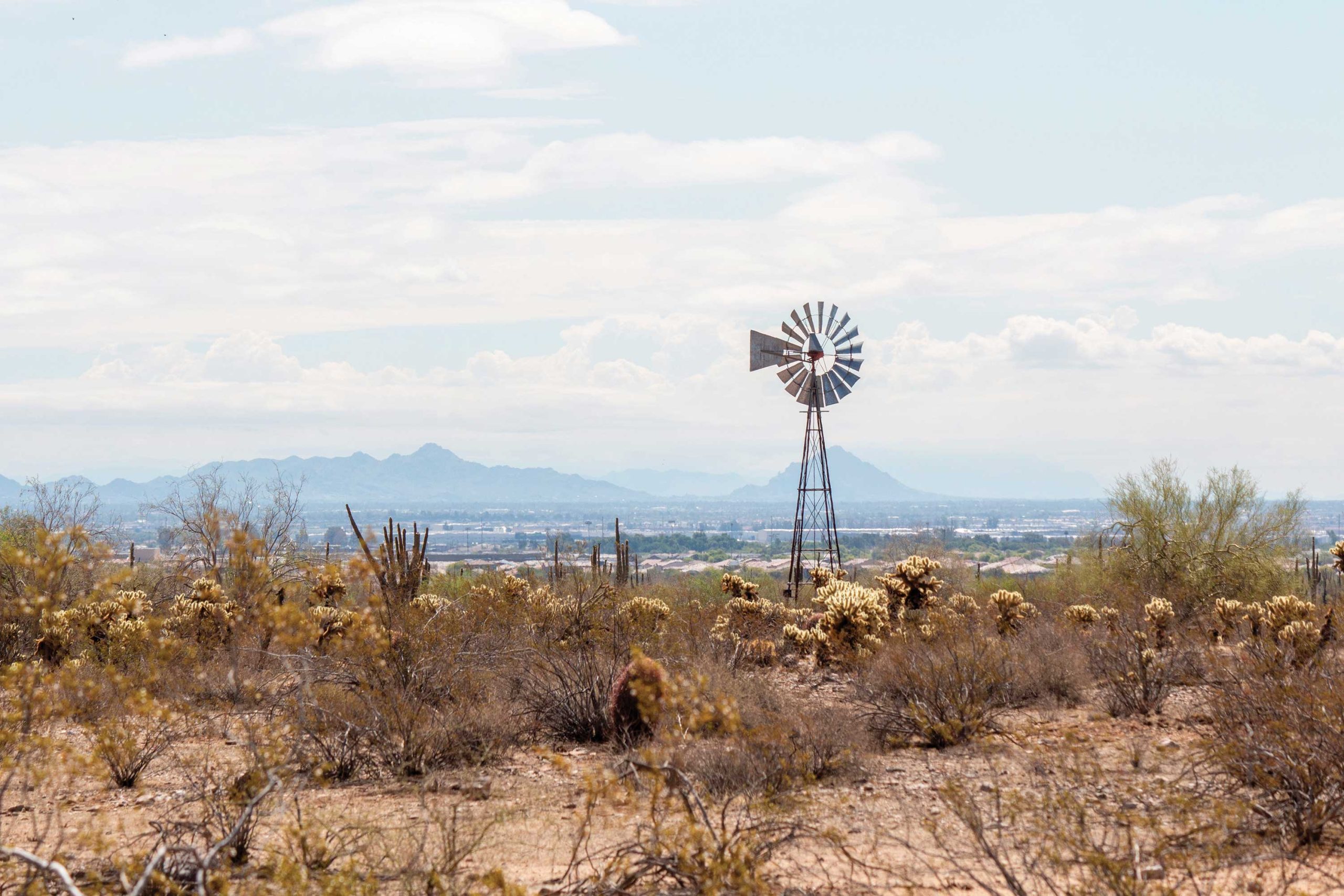 Photos by Mileidi Perez