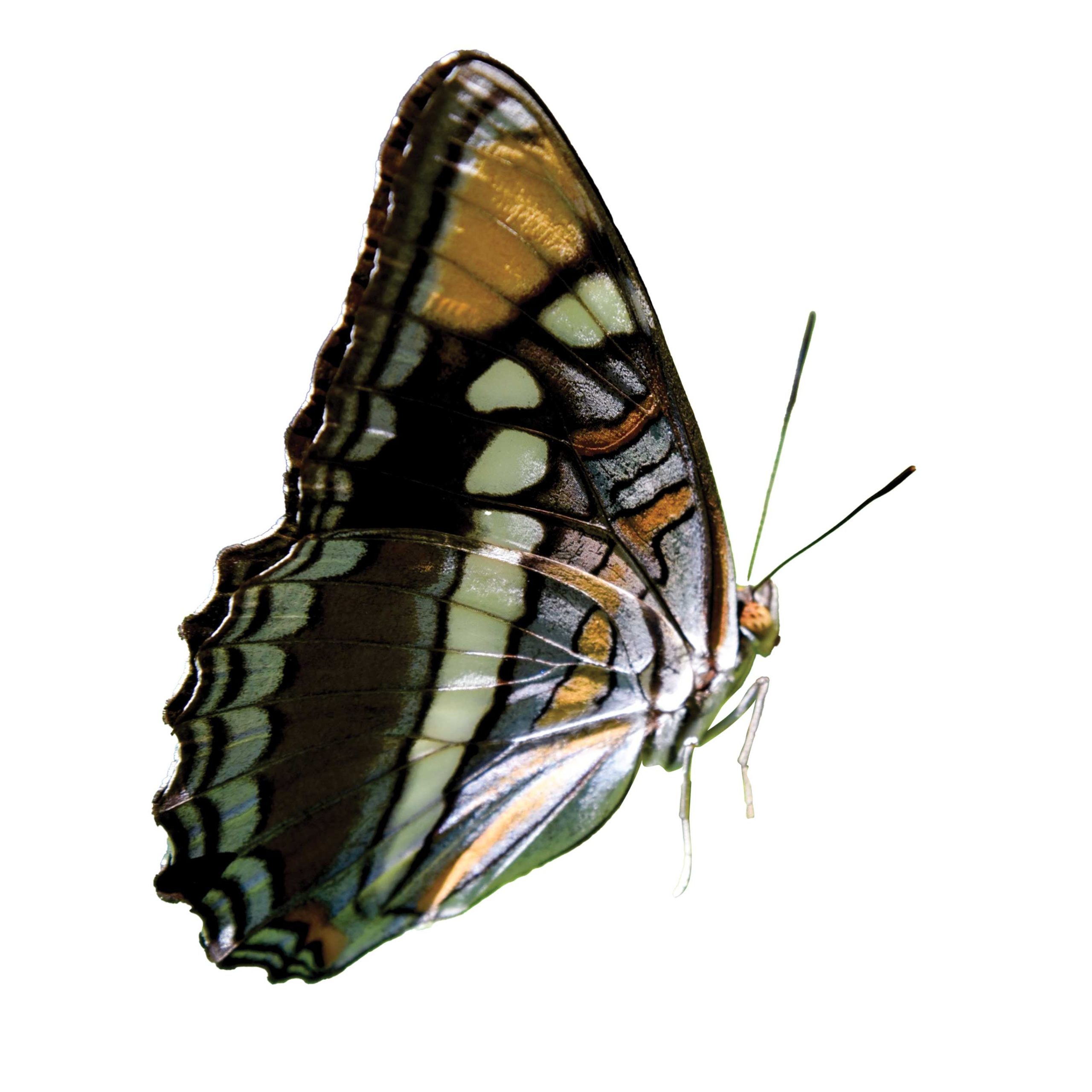 PHM0626EX10 https://www.phoenixmag.com/wp-content/uploads/2026/05/PHM0626EX10-scaled.jpg