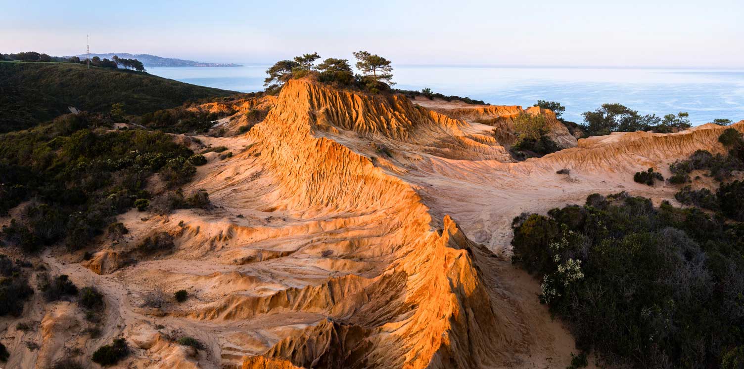 Torrey-Pines-State-Natural-Reserve-sandstone-bluffs https://www.phoenixmag.com/wp-content/uploads/2026/05/Torrey-Pines-State-Natural-Reserve-sandstone-bluffs.jpg