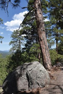 Heavenly Highs  On The Taawa Trail