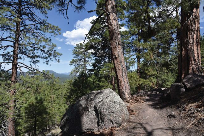 Heavenly Highs  On The Taawa Trail