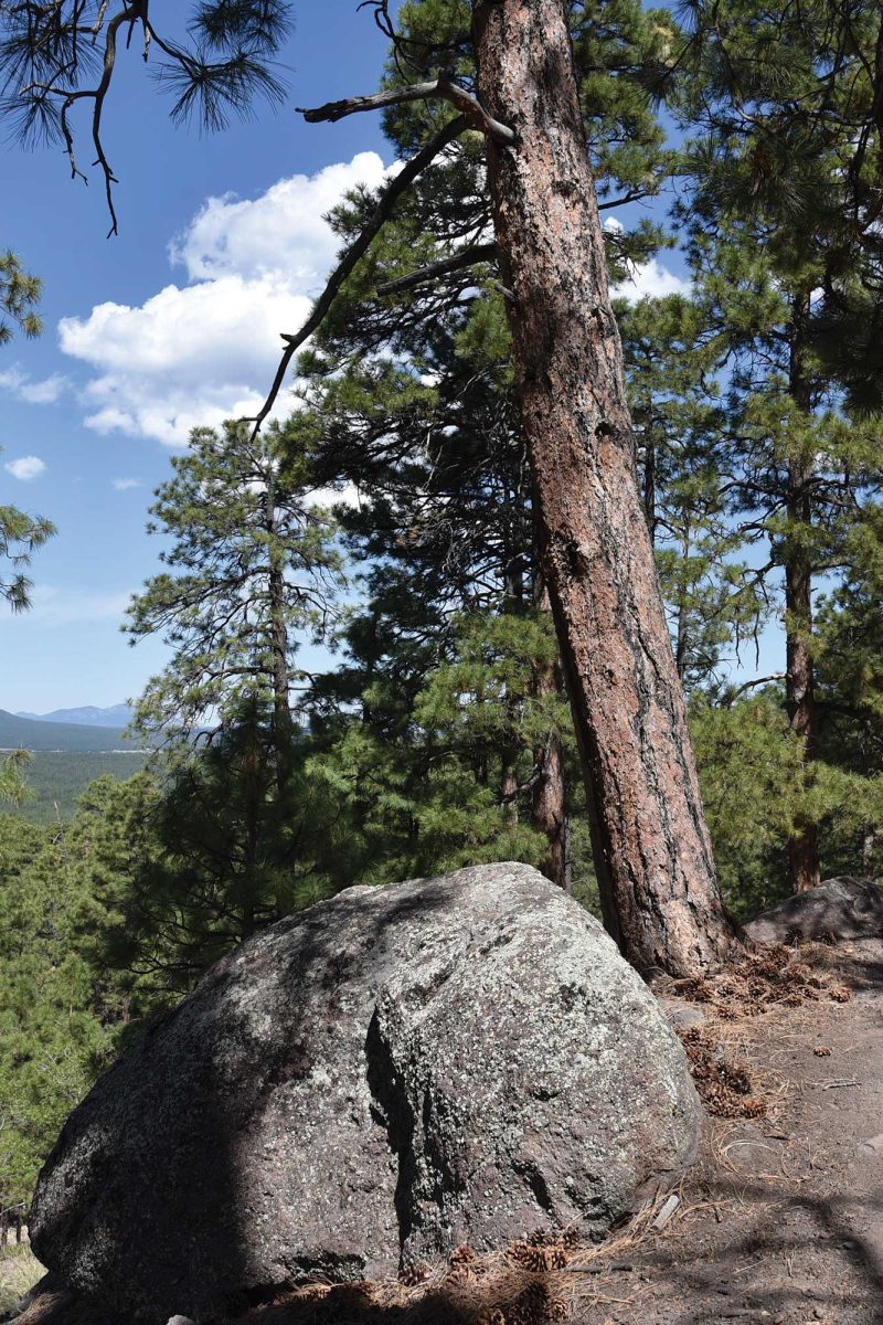 Heavenly Highs  On The Taawa Trail
