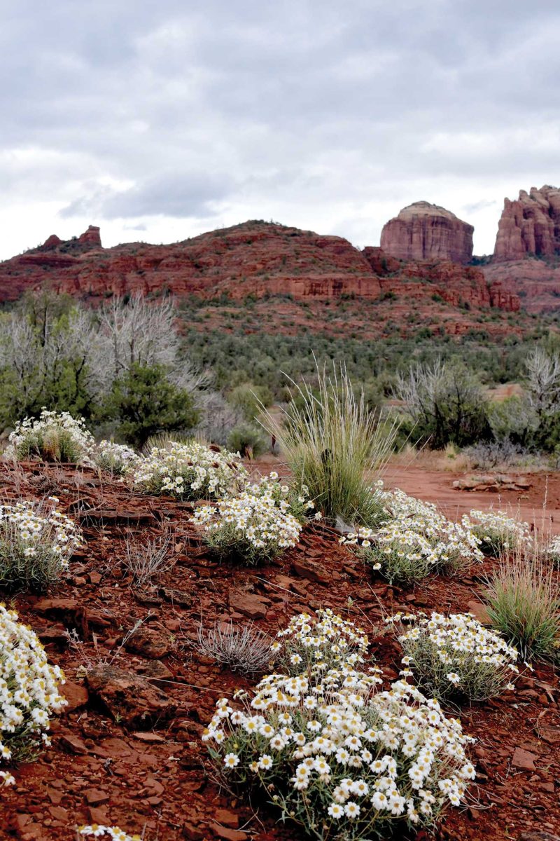 Trail Terroir