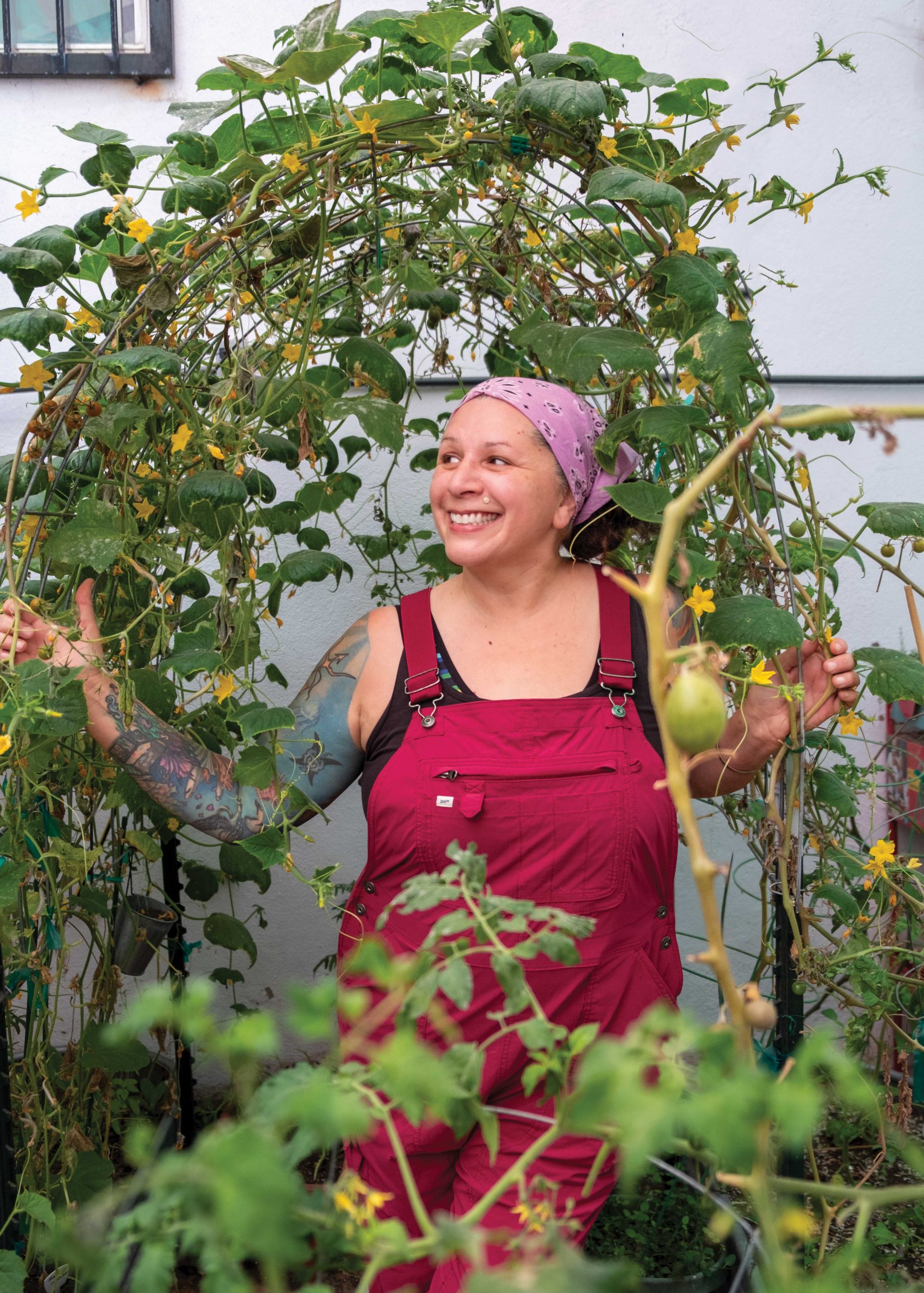 Hazelwood in the retreat’s food forest