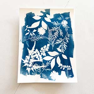 Cyanotype-Sun-Printing-5 Cyanotype-Sun-Printing-5