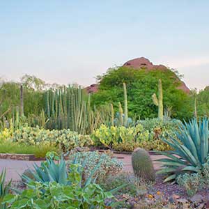General-Garden-Summer_1